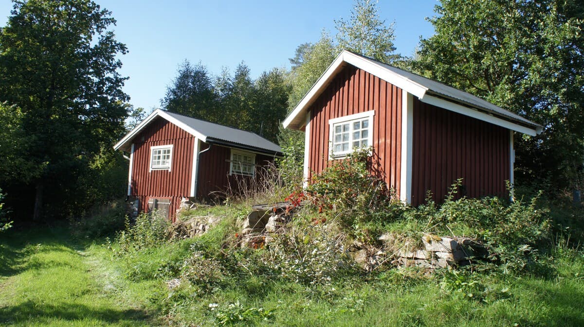 Två charmiga röda stugor omgivna av natuurlig skog och grönska - perfekt för lugn natururistik.